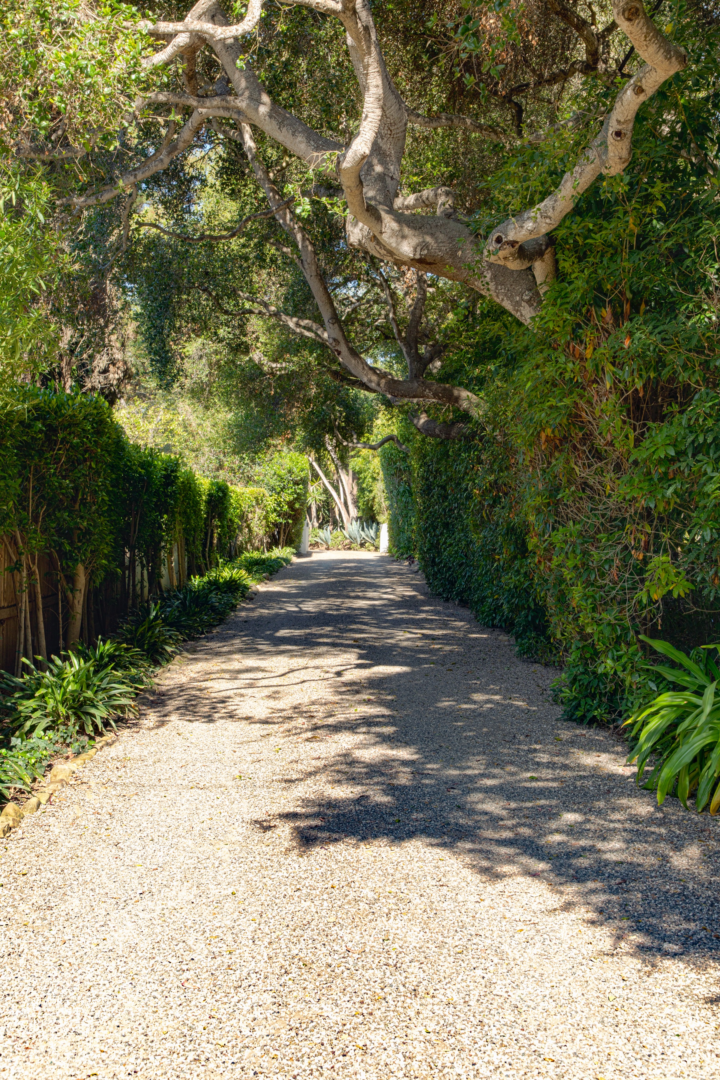 279 Santa Rosa Lane, Montecito, photo 35