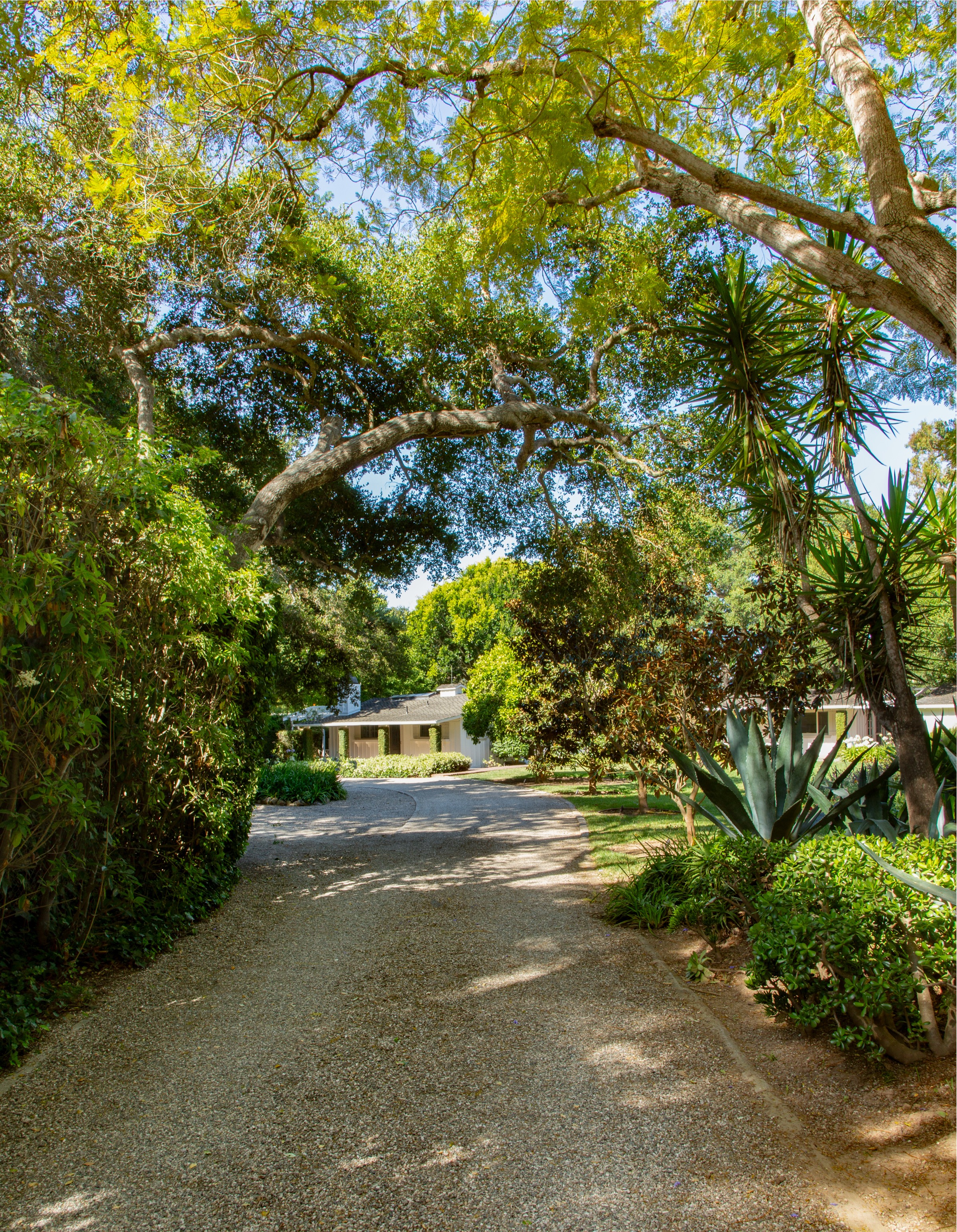 279 Santa Rosa Lane, Montecito, photo 36