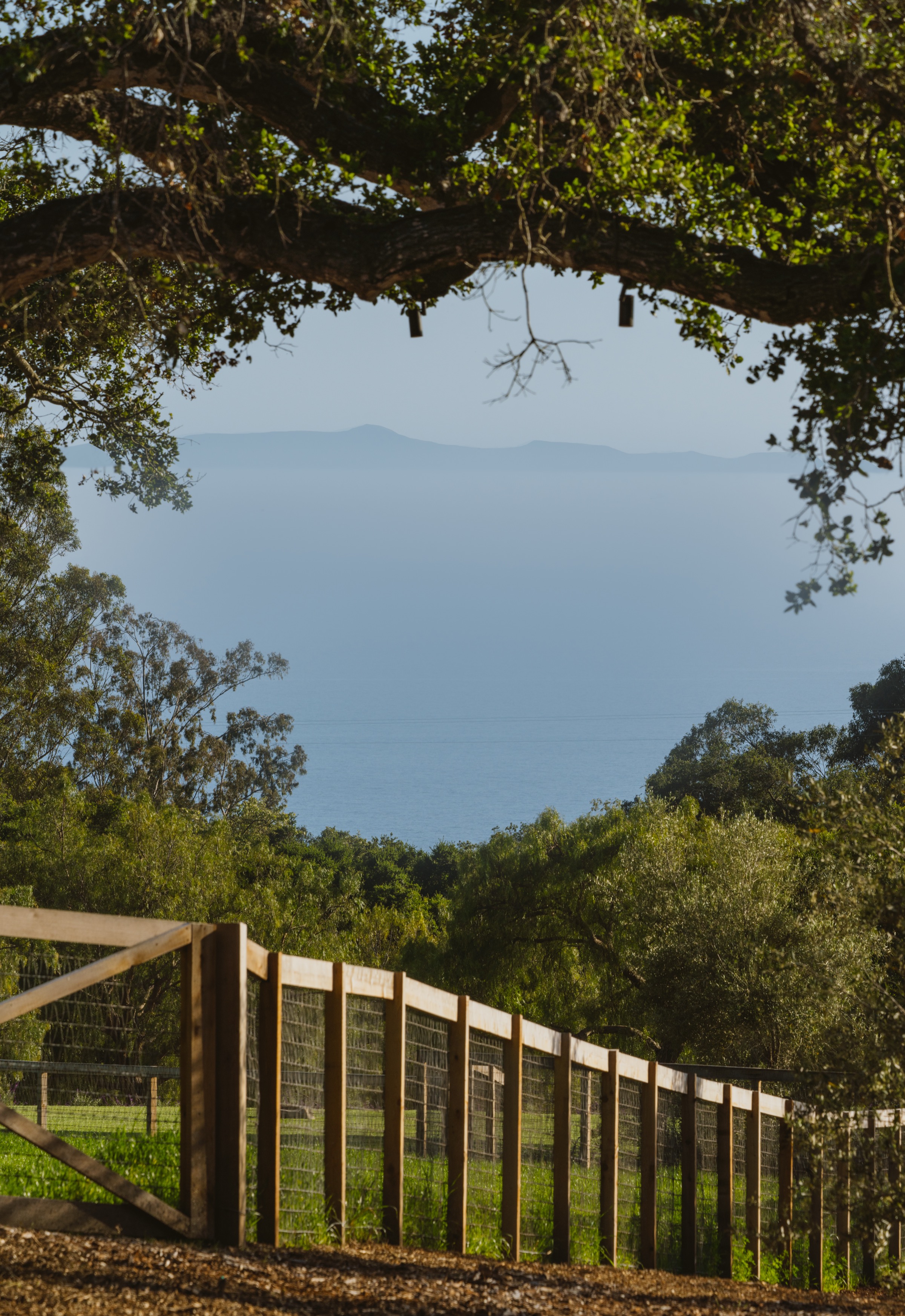 568 Toro Canyon, Montecito, photo 3